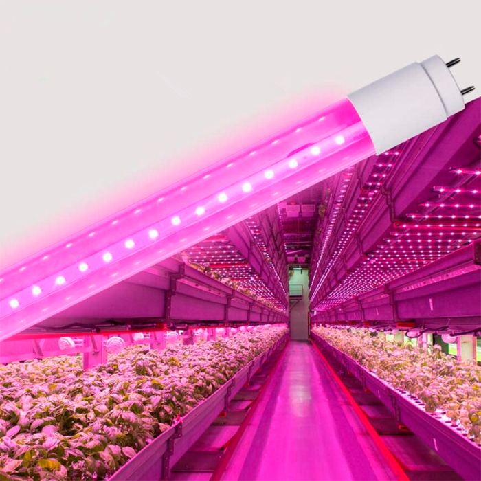 LED FITO лампа VIDEX T8F 9W 0.6M